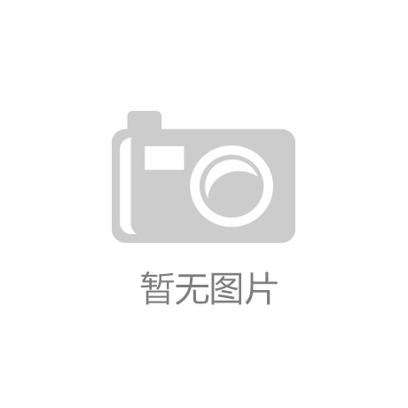 重庆VS山东调研公司研究比较